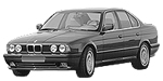 BMW E34 P1133 Fault Code